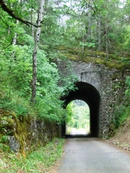 Ruine Tunnel northern portal