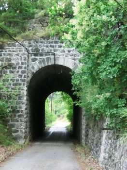 Ruine Tunnel southern portal