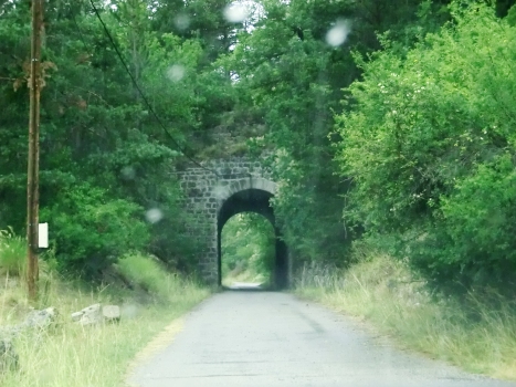 Ruine Tunnel southern portal