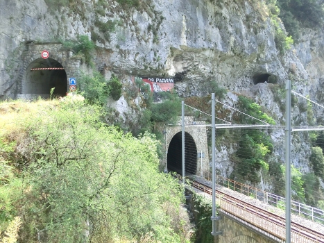 Saint Roch Road and Railway Tunnel northern portals