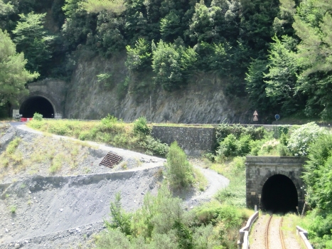 Col de l'Arme Tunnel (left) and Arme Tunnel northern portals