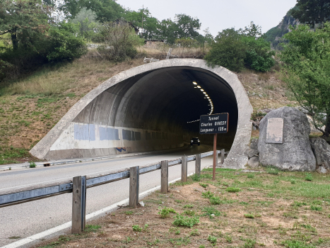 Tunnel Charles-Ginesy