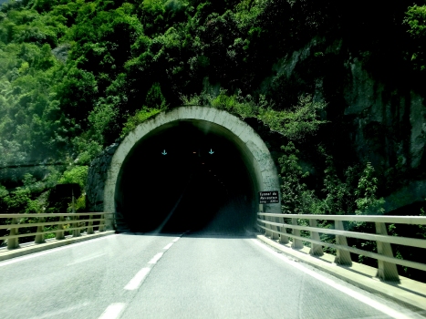 Reveston Tunnel northern portal