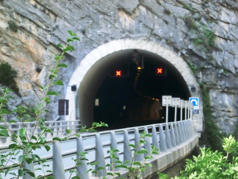 Reveston Tunnel southern portal