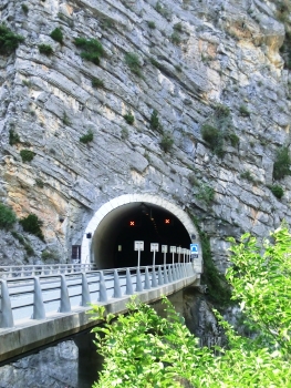 Reveston Tunnel southern portal