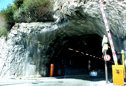 Rainier III Tunnel