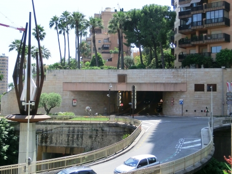 Saint-Roman Tunnel eastern portal