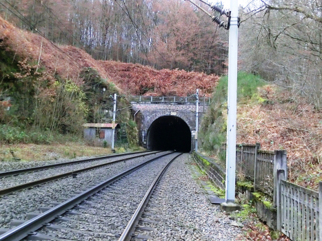 Tunnel Niederrheinthal