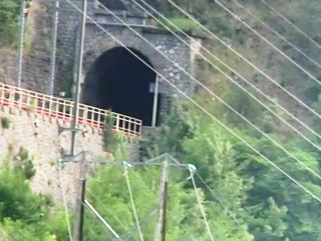Peug Tunnel souhern portal