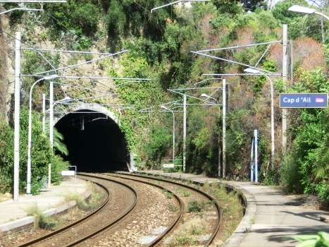 Rognoux Tunnel western portal