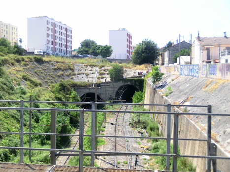 Tunnel Arenc