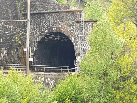 Tunnel de la Bronsonnière
