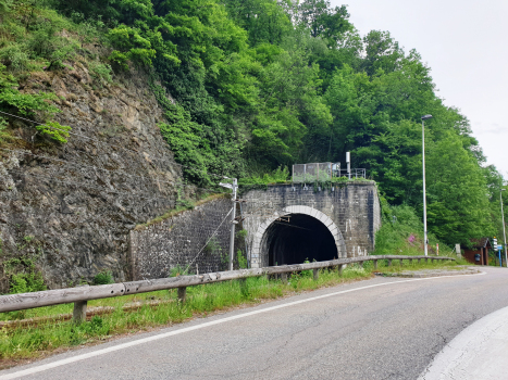 Tunnel de Cevins