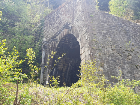 Chenevier Tunnel
