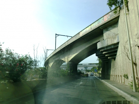 Mourepiane Viaduct