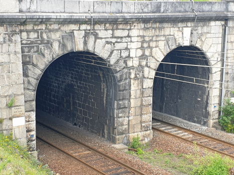 Tunnel de Saint-Julien-Mont-Denis
