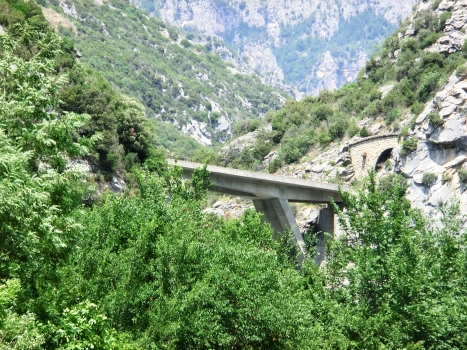 Tunnel Saint-Roch
