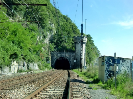 Tunnel de Brison
