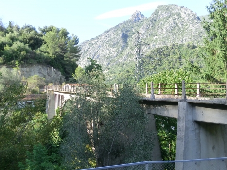 Straßenbahnbrücke Monti