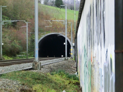Adlertunnel