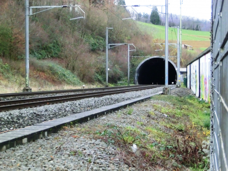 Adler Tunnel southern portal