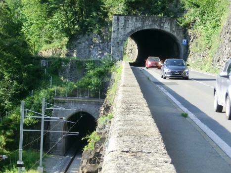 Franziskus Rail Tunnel (on the left) and Laui Tunnel southern portals