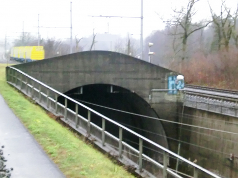 Murgenthal Tunnel eastern portal
