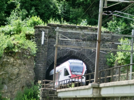 Stalvedro Railway Tunnel northern portal