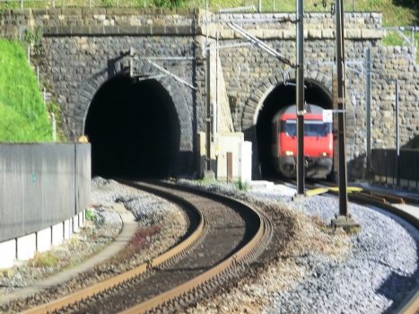 Stutzegg-Axenberg Tunnel (on the left) and Stutzegg Tunnel northern portals
