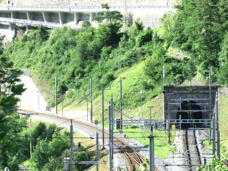 Tunnel de Stutzegg-Axenberg