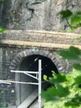 Tunnel ferroviaire de Tellsplatten