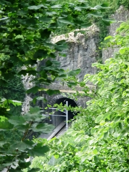 Tellsplatte Rail Tunnel southern portal
