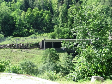 Unterbachenwald Tunnel