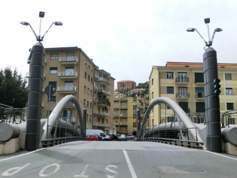 Caterina Boncardo Bridge