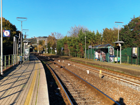 Firenze San Marco Vecchio Station