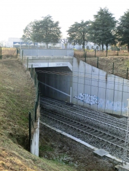 Bustese Tunnel eastern portal
