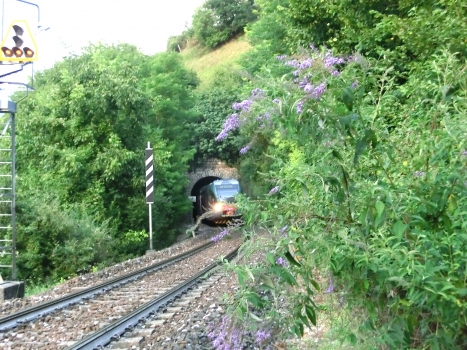 Mazzola Tunnel southern portal