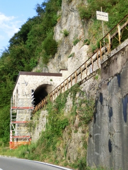 Tunnel de Predalva