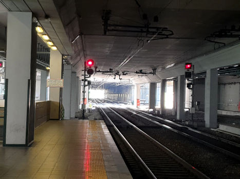 Malpensa T1 Tunnel