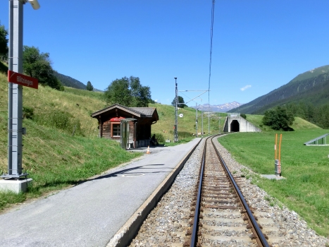 Blitzingen Tunnel eastern portal and, on the left, Blitzingen Station