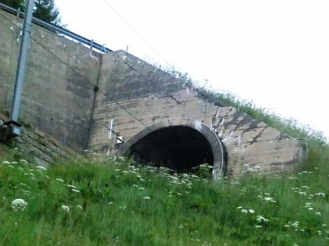 Butzen Tunnel western portal