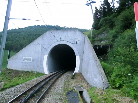 Grind Tunnel southern portal. On the right, the old 1925 portal