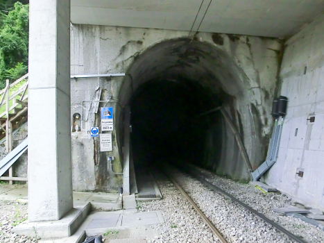 Vergondola Tunnel northern portal