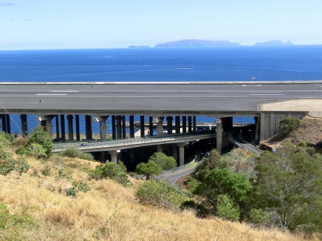 Madeira airport runway bridge (above) and VR1 Seixo Viaduct
