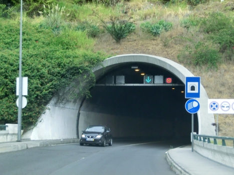 Jaime Ornelas Camacho-Tunnel