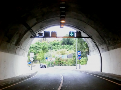 Tunnel Jaime Ornelas Camacho
