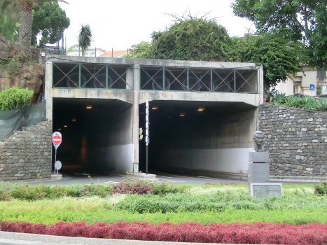 Santa Catarina Park Tunnel southern portals