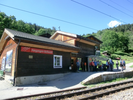 Fürgangen-Bellwald Station