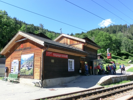 Gare de Fürgangen-Bellwald