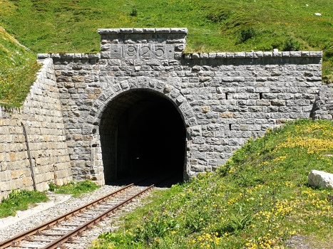 Furka Tunnel western portal